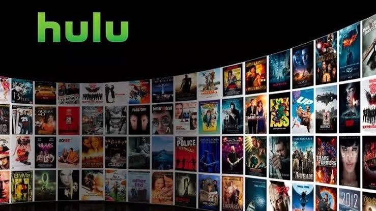 find your Hulu username and password