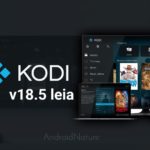 Download Kodi v18.5 leia