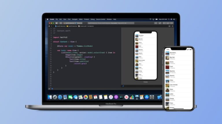 iPhone Developer Mode