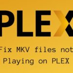 Fix MKV files not Playing on PLEX