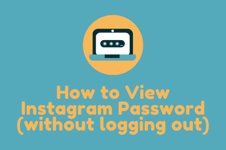 View Instagram Password
