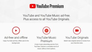 [6 Fix] Youtube Premium Family Plan Not Working (2023) - Android Nature