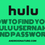 find Hulu your username and password