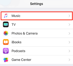Music option under Apple music settings