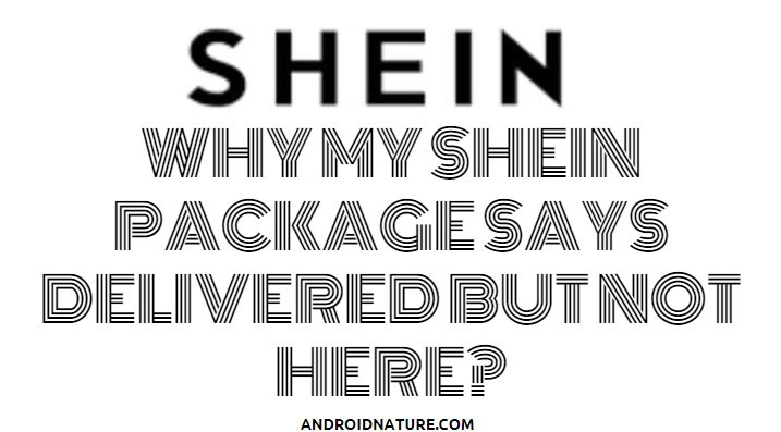 SHEIN package says delivered but it's not