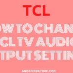TCL AUDIO OUTPUT SETTINGS