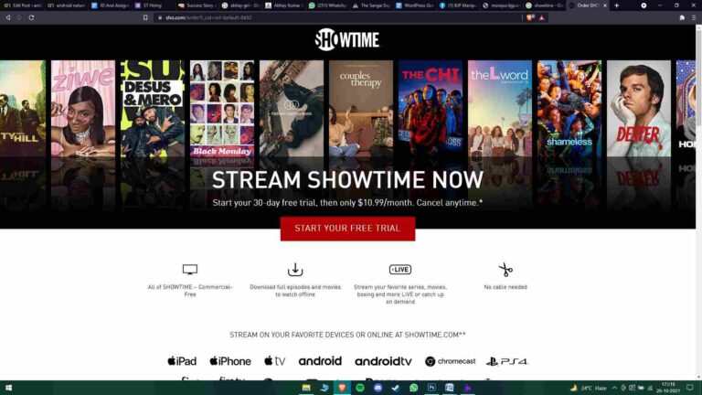 Homepage of Showtime