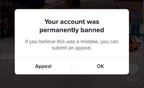 How to Appeal for tiktok ban