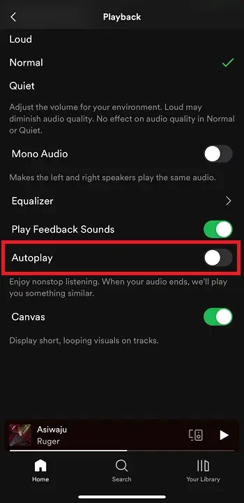 Auto-Play option in Spotify