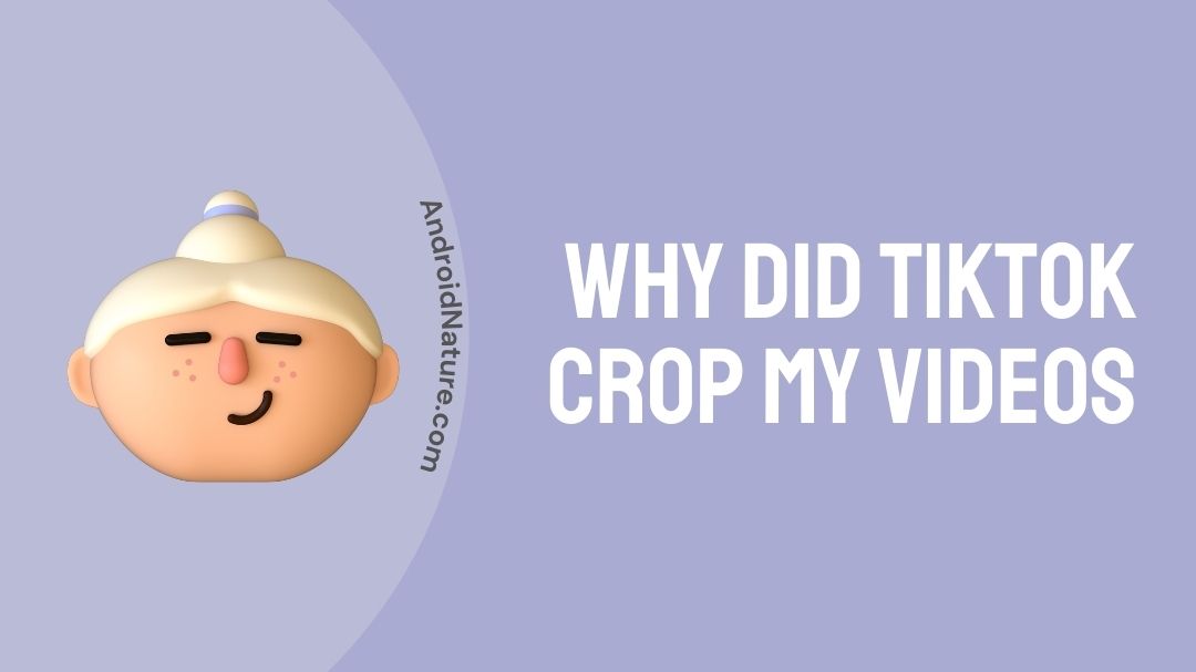 Why TikTok crop my videos