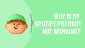 Why is my Spotify premium not working