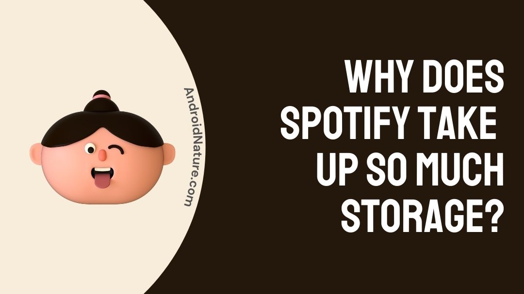 solved-why-does-spotify-take-up-so-much-storage-android-nature