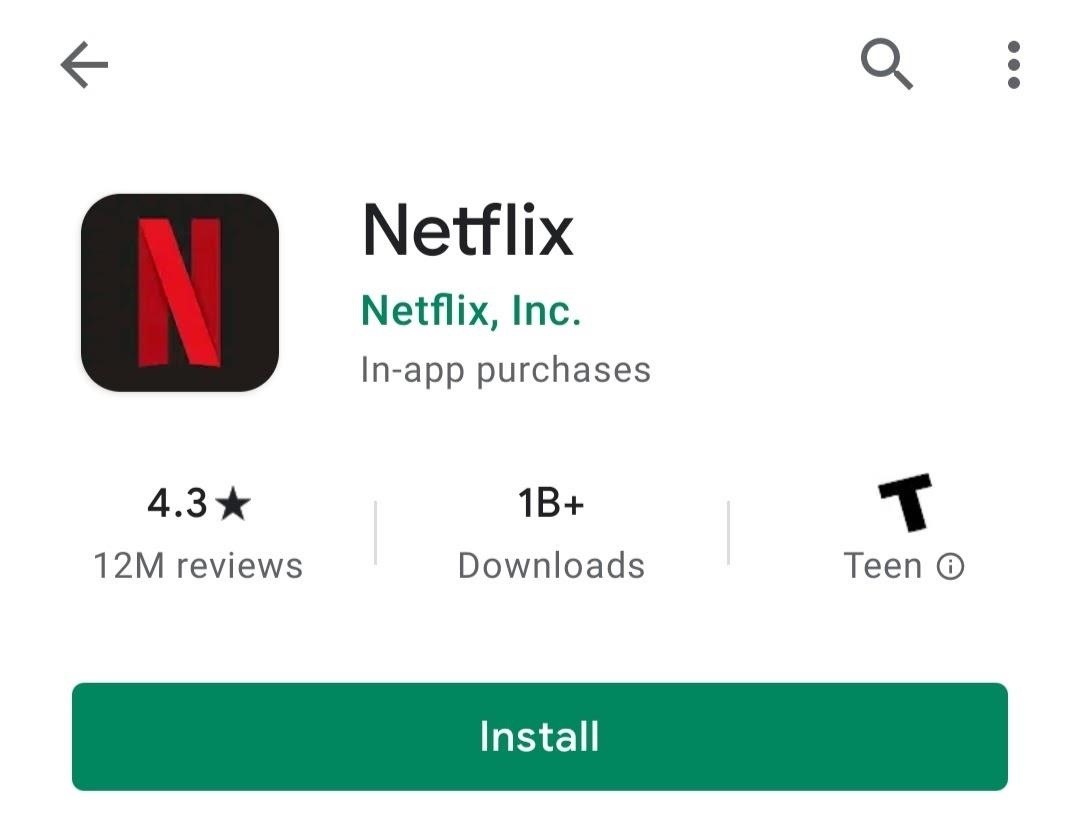 Netflix app installation window