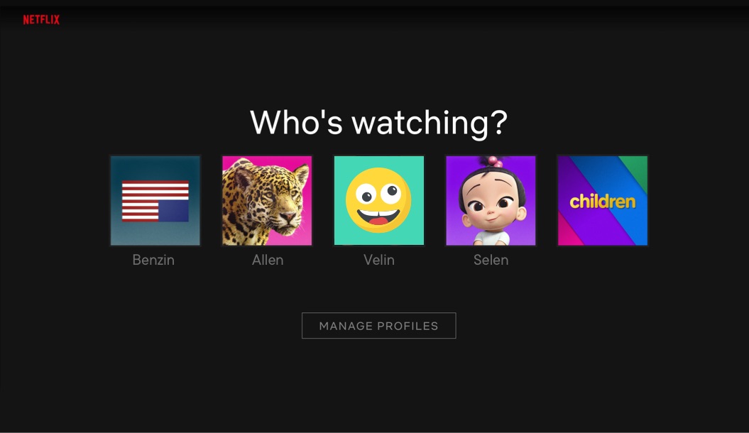 Netflix window of users