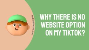 TikTok no website option