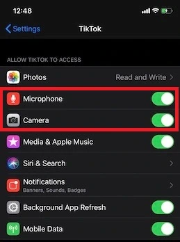 TikTok app accessibility on iOS device