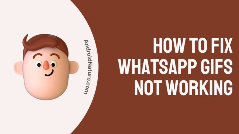 How to Fix WhatsApp GIFs not working
