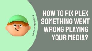 Plex something went wrong playing your media