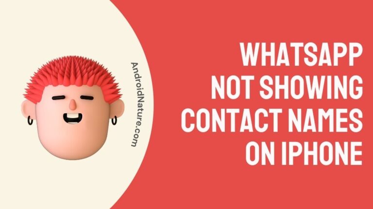 _WhatsApp not showing contact names on iPhone