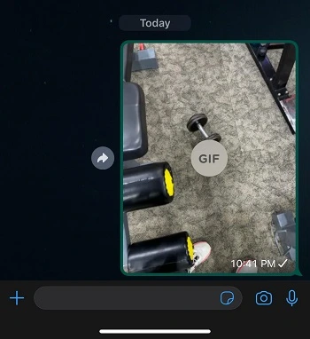GIF sent to a WhatsApp chat