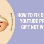 How to Fix Discord YouTube premium gift not working