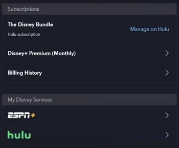 Disney Plus Hulu bundle