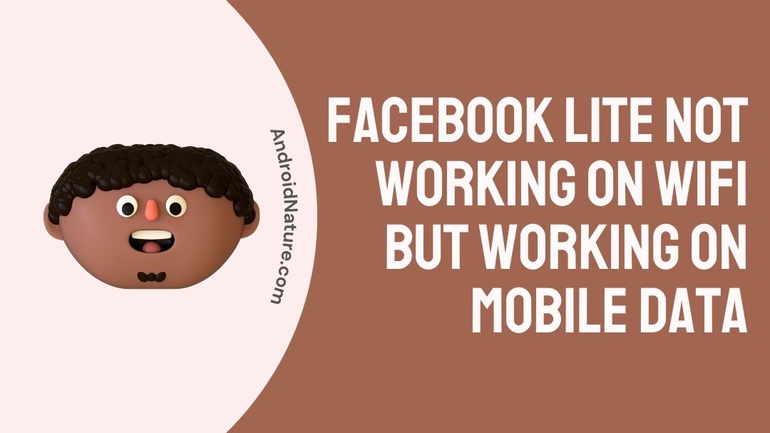 Facebook Lite Not Working on WiFi but on Mobile Data Android Nature