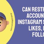 Can Restricted Accounts see Instagram Story, Likes, Posts, Followers