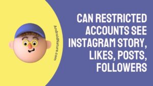 Can Restricted Accounts see Instagram Story, Likes, Posts, Followers
