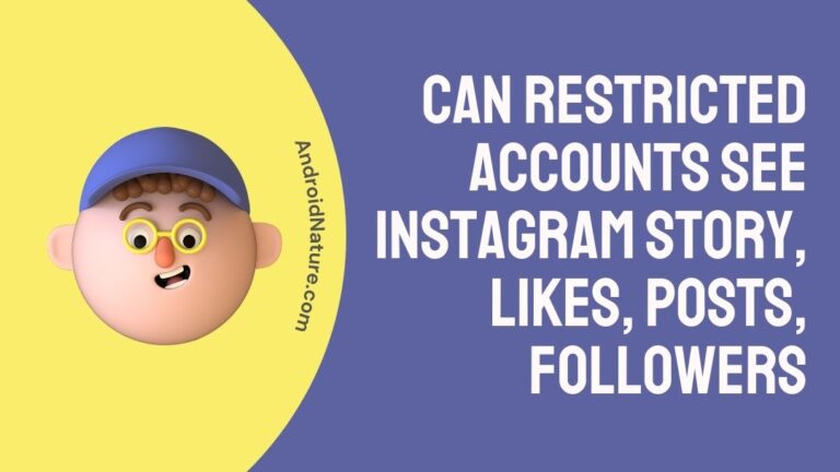 Can Restricted Accounts see Instagram Story, Likes, Posts, Followers