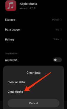 Clear Cache Apple Music