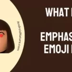 What does the emphasized emoji look like