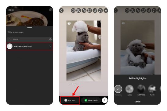 How to add photos to highlights on Instagram
