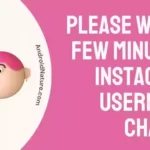 Fix Please Wait a Few minutes, Instagram Username Change