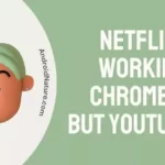 Netflix not working on Chromecast but YouTube is
