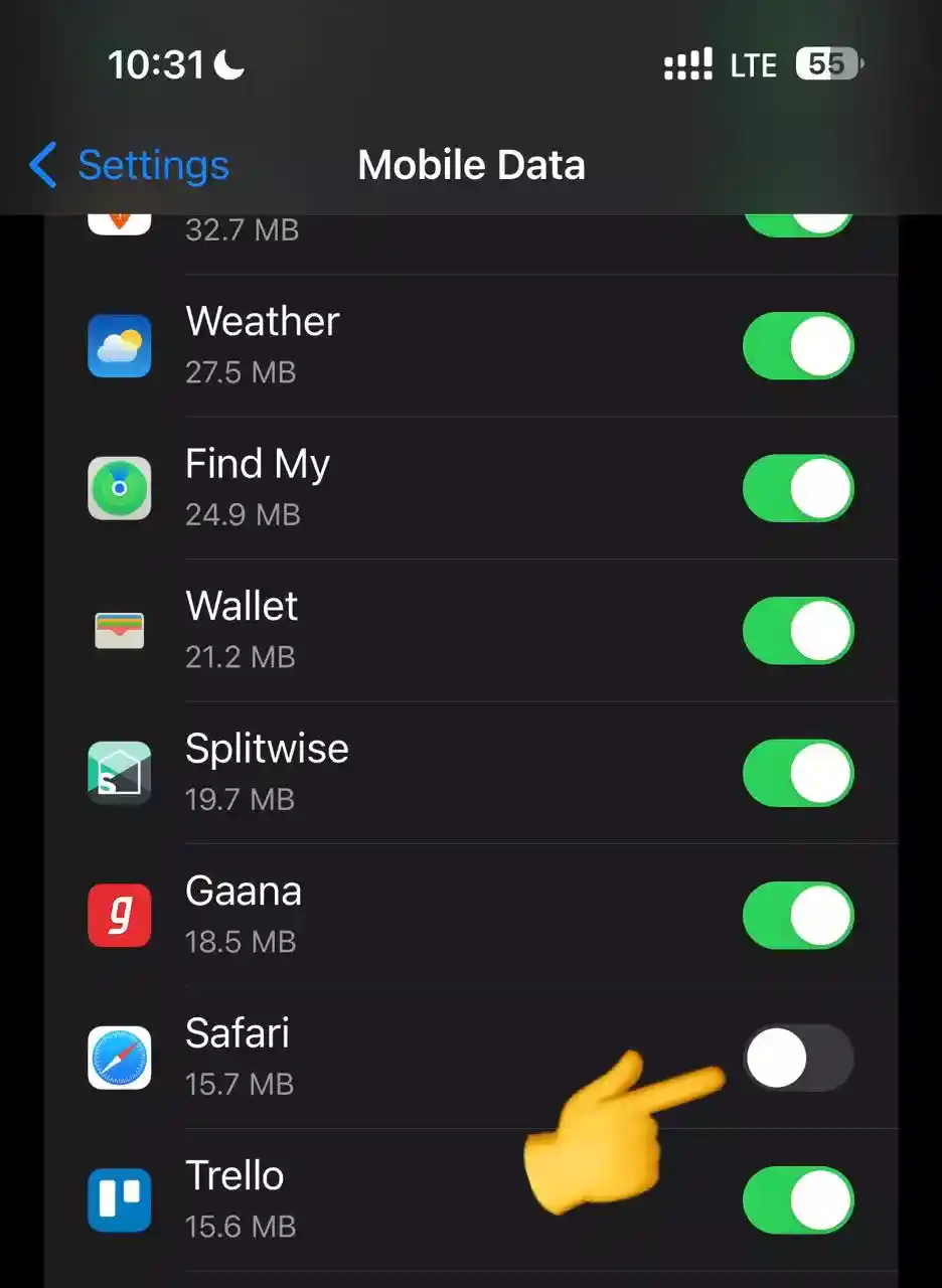 Turn on Safari mobile data