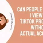 Can people see if I view their TikTok profiles without an actual account