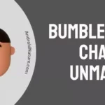 Bumble end Chat vs Unmatch