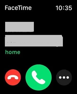 Facetime call notification on Apple Watch