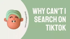 Why can't I search on TikTok