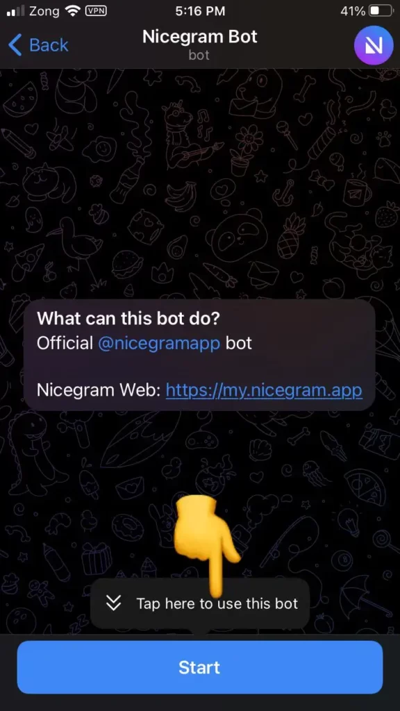 Starting Nicegram Bot in Telegram