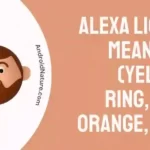 Alexa Lights Meanings