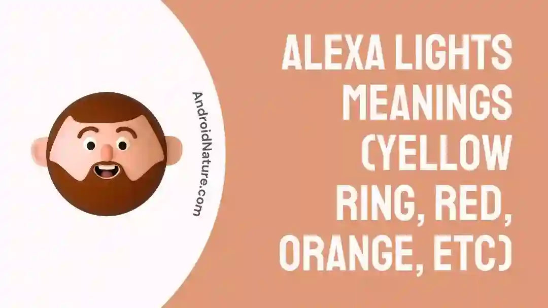Alexa Lights Meanings