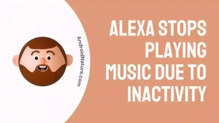 Alexa Stops Playing Music Due to Inactivity