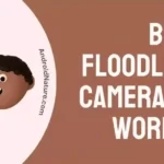 Blink Floodlight Camera Not Working
