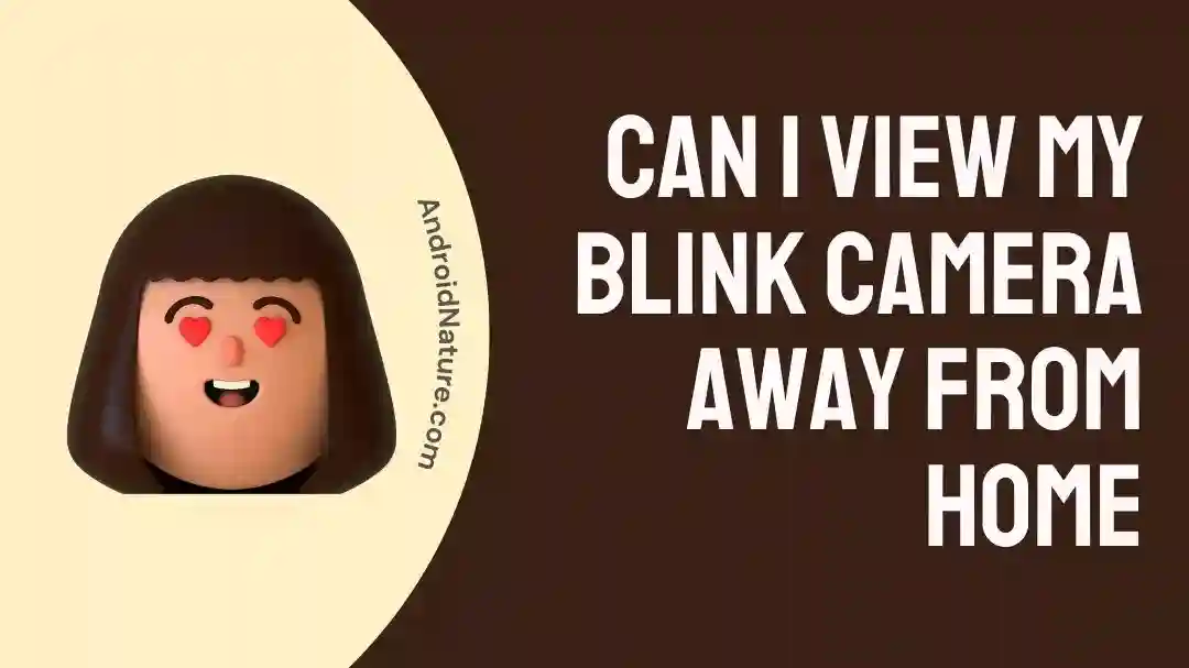 Can I view my Blink Camera away from Home