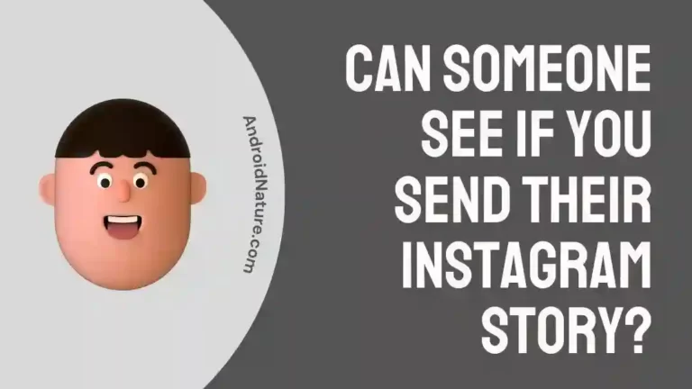 Can someone see if you send their Instagram story