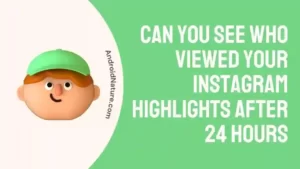 Can you see who viewed your Instagram Highlights After 24 hours
