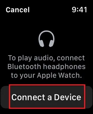 Connect Bluetooth device in Apple Watch
