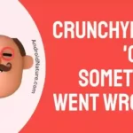 Crunchyroll 'Oops something went wrong'